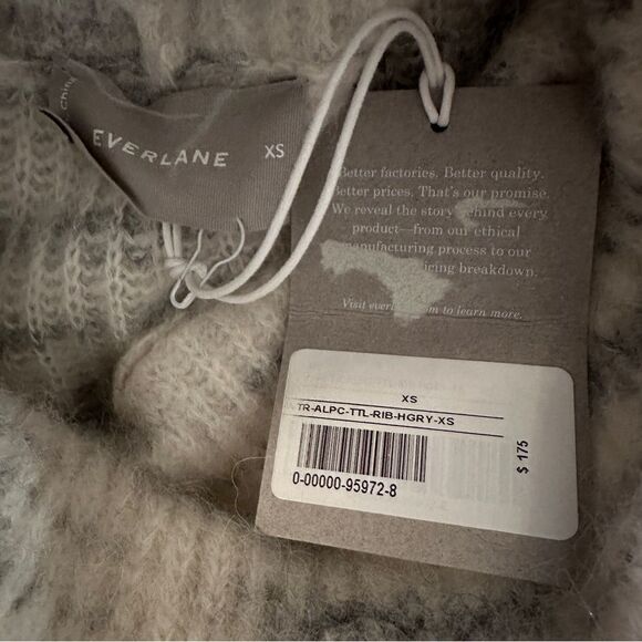 Everlane The Alpaca Oversized Turtleneck New - Picture 5 of 7